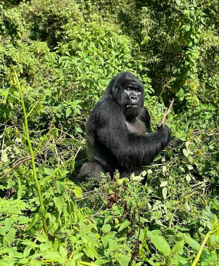 1 Day Vacation Tour at Lake Kivu in Karongi
