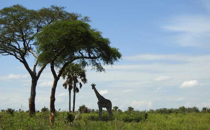 trip overview