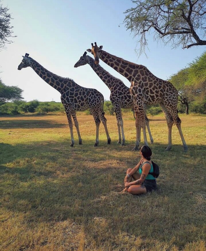 2 Days Arusha N.P & Lake Manyara National Park Tanzania Safari