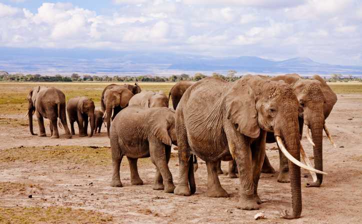 4 days Serengeti and Ngorongoro Crater