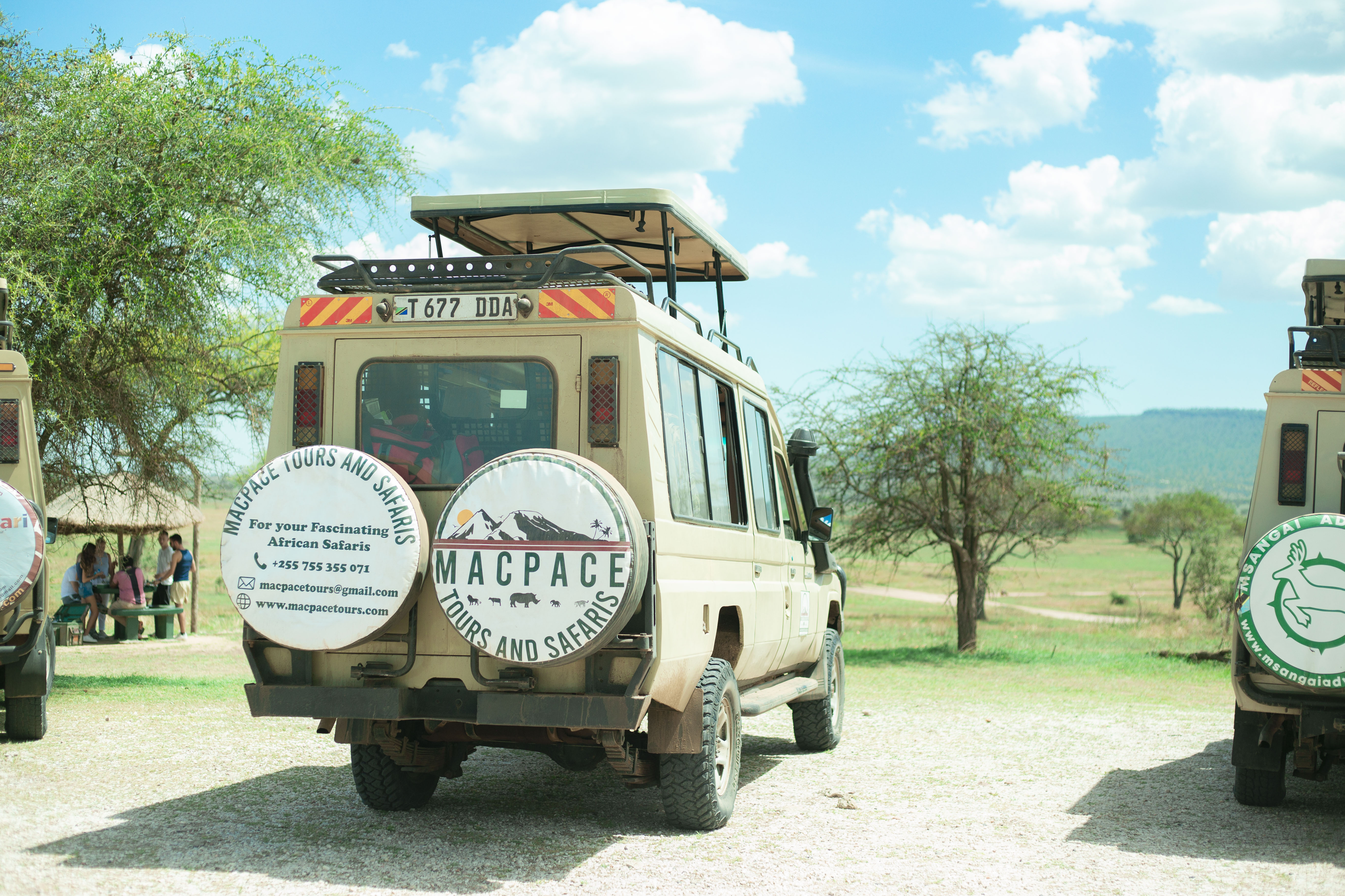 1 Days Tanzania Safari Day Trips