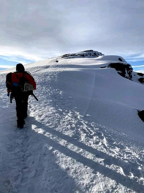 trip overview