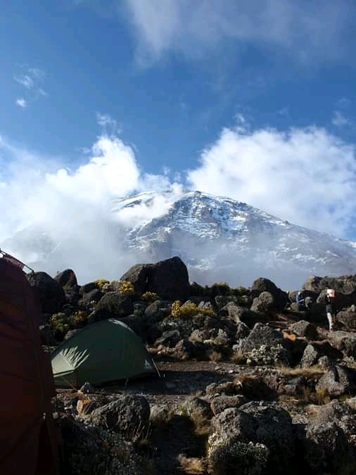 trip overview