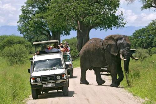 trip overview