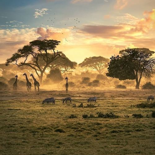 4 Days Kenya Safaris Packages