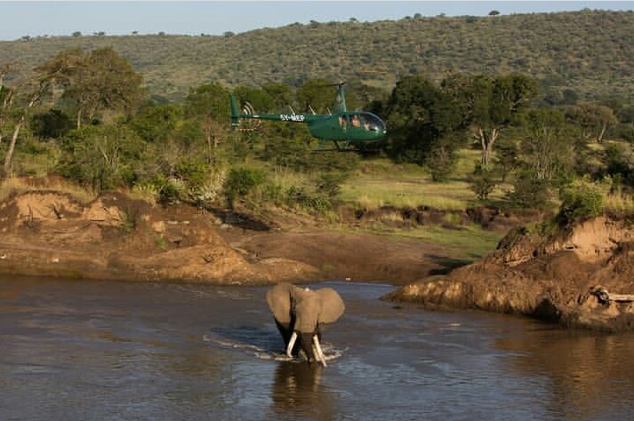 7 Days Uganda Safari Packages