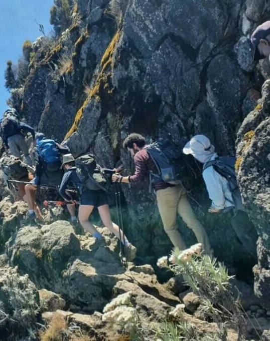 Joining group sharing tour on Mount Kilimanjaro hiking seasons in 2023,2024 and 2025