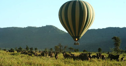 7-Day Tanzania Wildlife Safari with Hot Air Balloon Flight