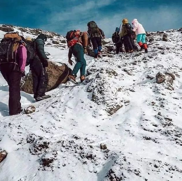 The Best 6-Day Kilimanjaro Climbing Group Tour via Shira Route in 2025–2026