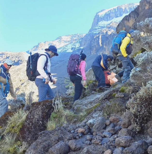 7-Day Umbwe Route Group Tour – Kilimanjaro Climb 2025–2026
