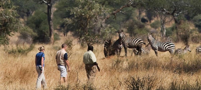 A walking safari in Arusha National Park,Tanzania