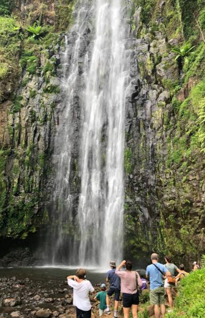Materuni Waterfalls & Coffee Tour