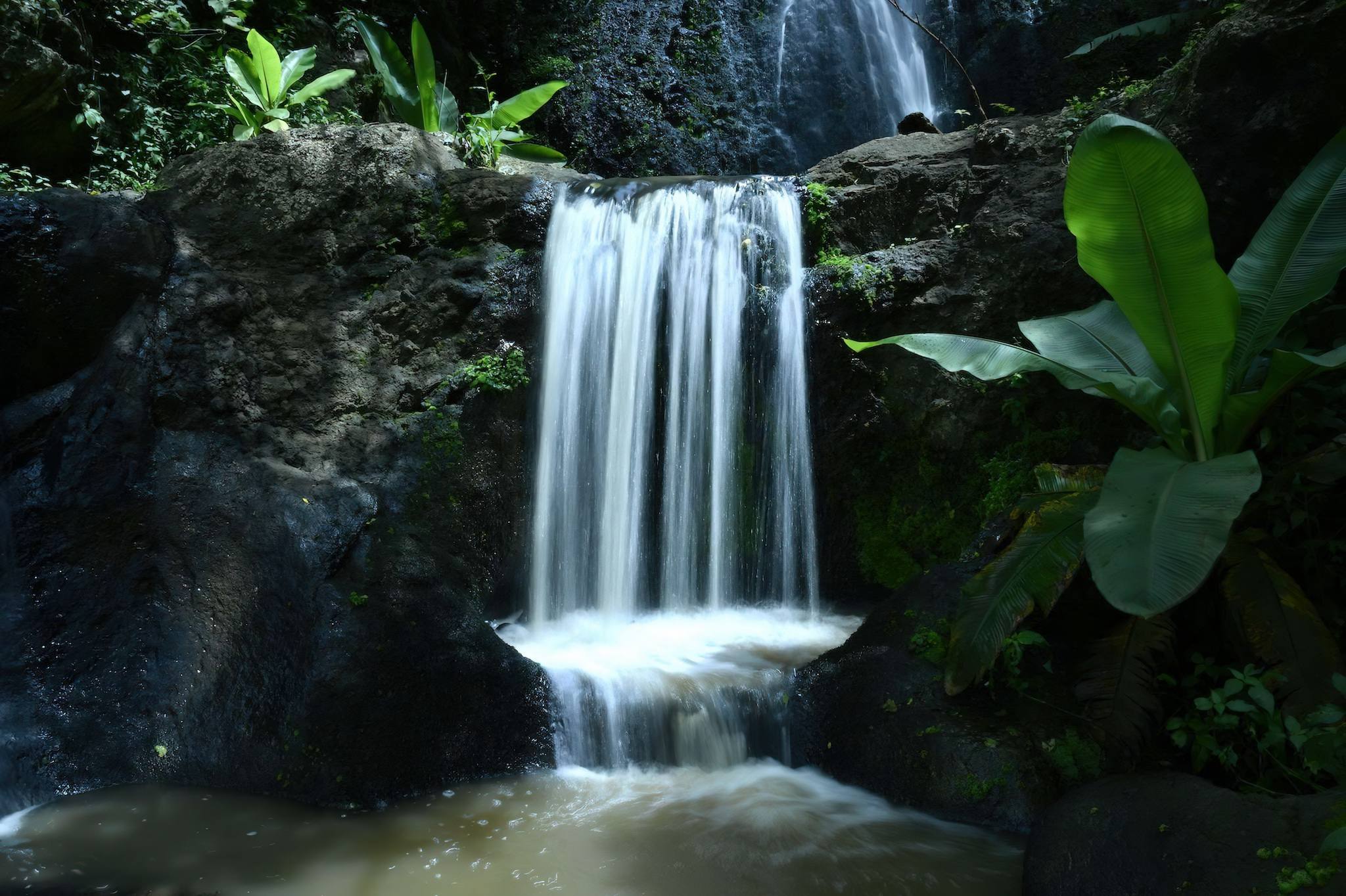 Wildlife and Waterfalls Explore Tanzania in 7-Day Safari Adventure