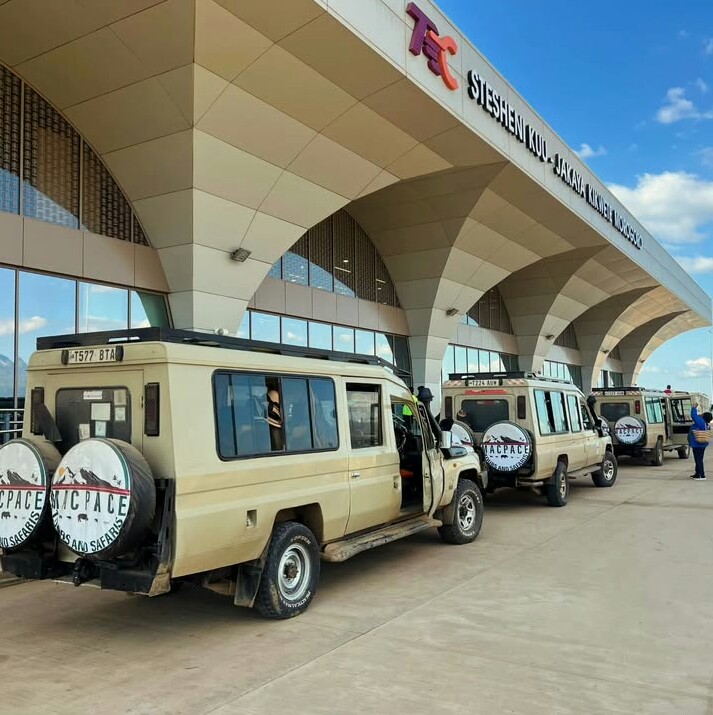 Premier Tanzania Safari | Top-Selling Tanzania Safaris with Macpace Tours and safaris in 2025–2026