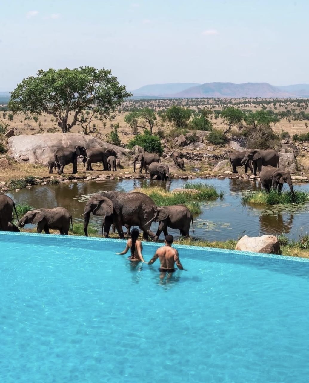 Business & Bleisure Safaris in Tanzania (2025–2026)