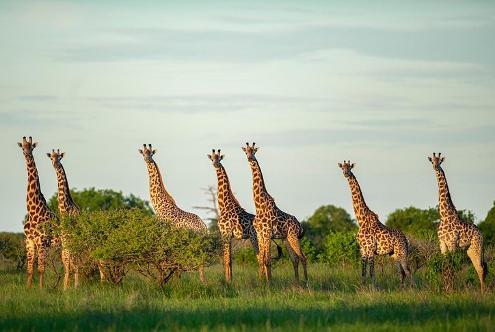 Saadani National Park Tour in Tanzania