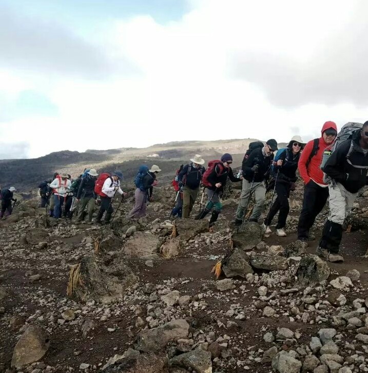 The best group tours of the Lemosho route in 2025/2026 on Kilimanjaro climbing