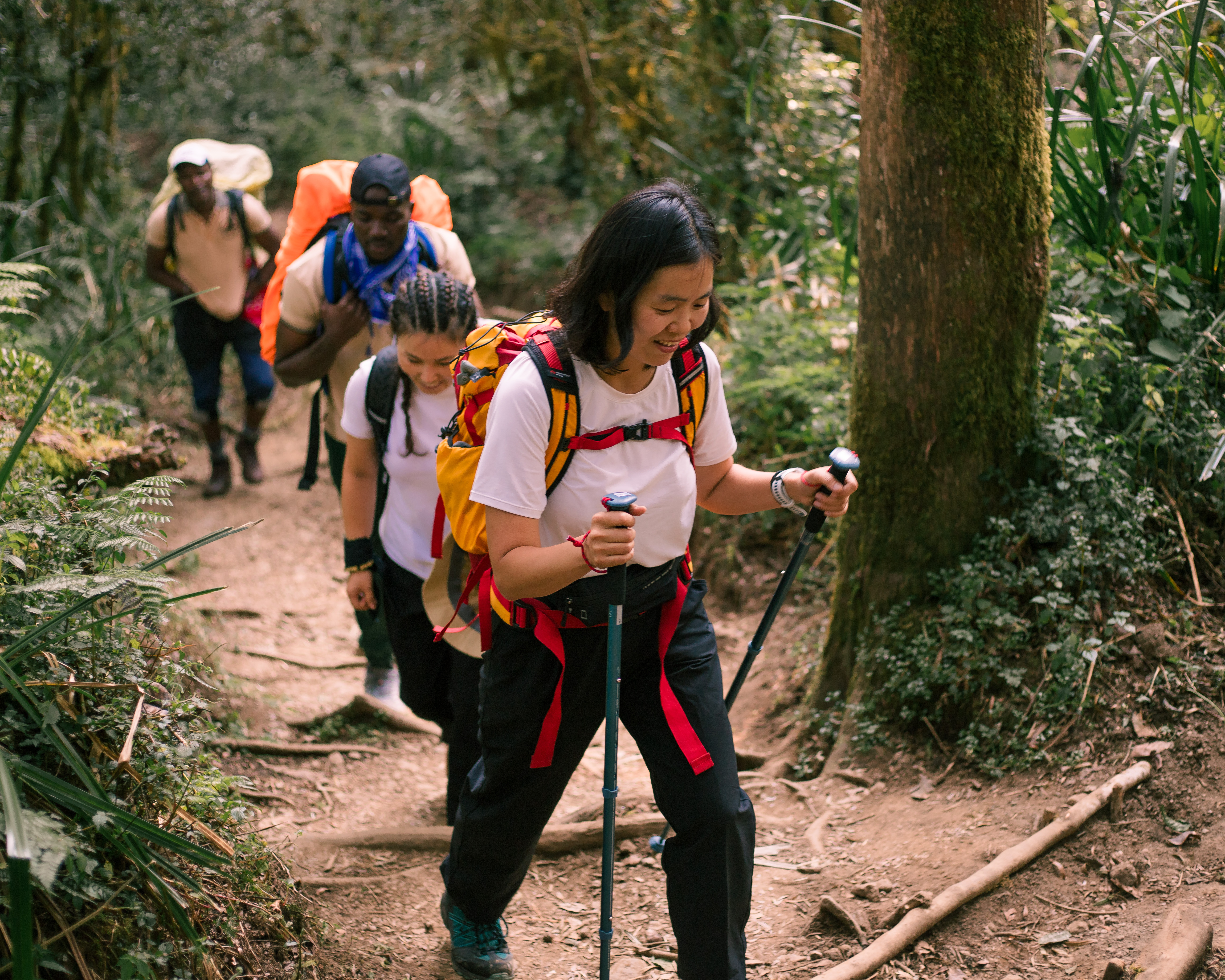 The best group tour of the Machame route in 2025/2026 on Kilimanjaro climbing