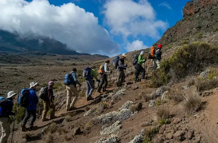 The best group tours of the Rongai route in 2025/2026 on Kilimanjaro climbing