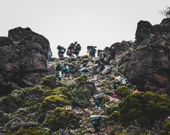 Ultimate Guide to Climbing Kilimanjaro via the Umbwe Route